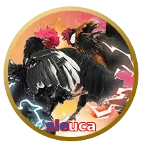 sieuca